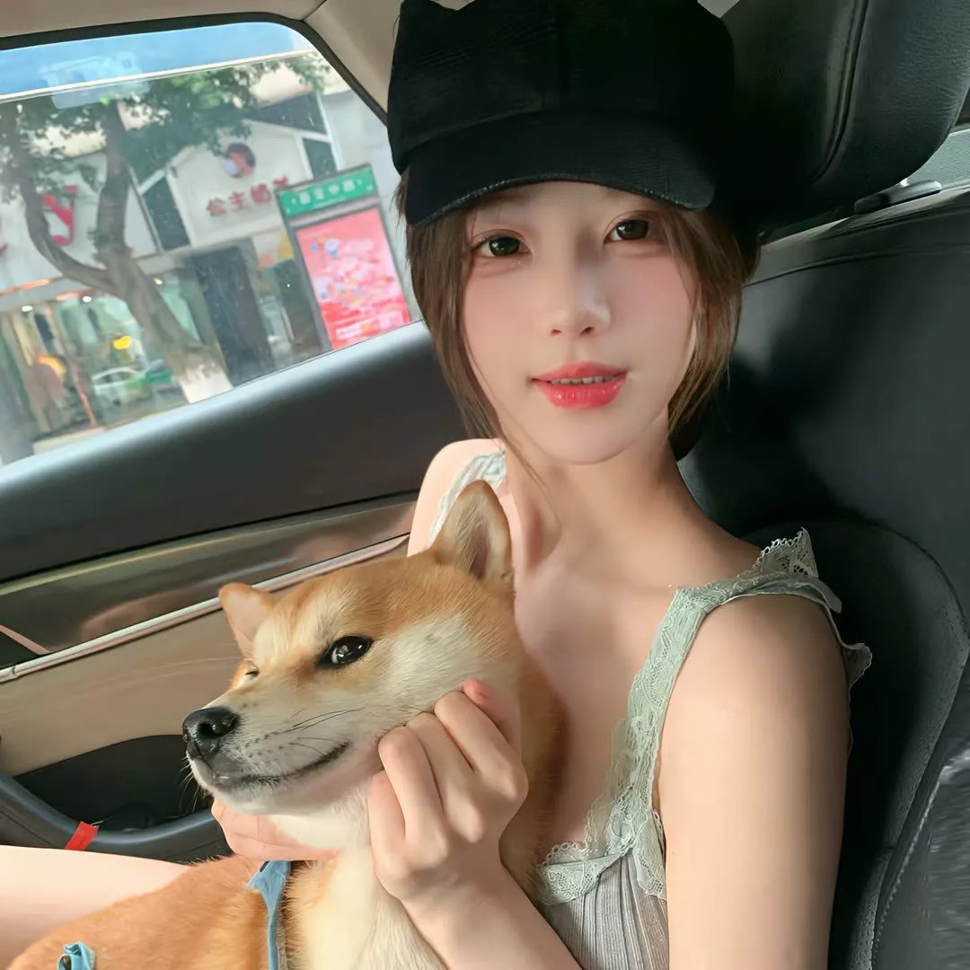 婉君表妹