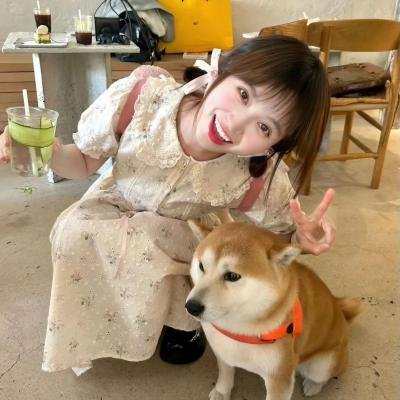 肢解迷情
