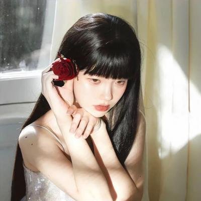 加菲猫家族